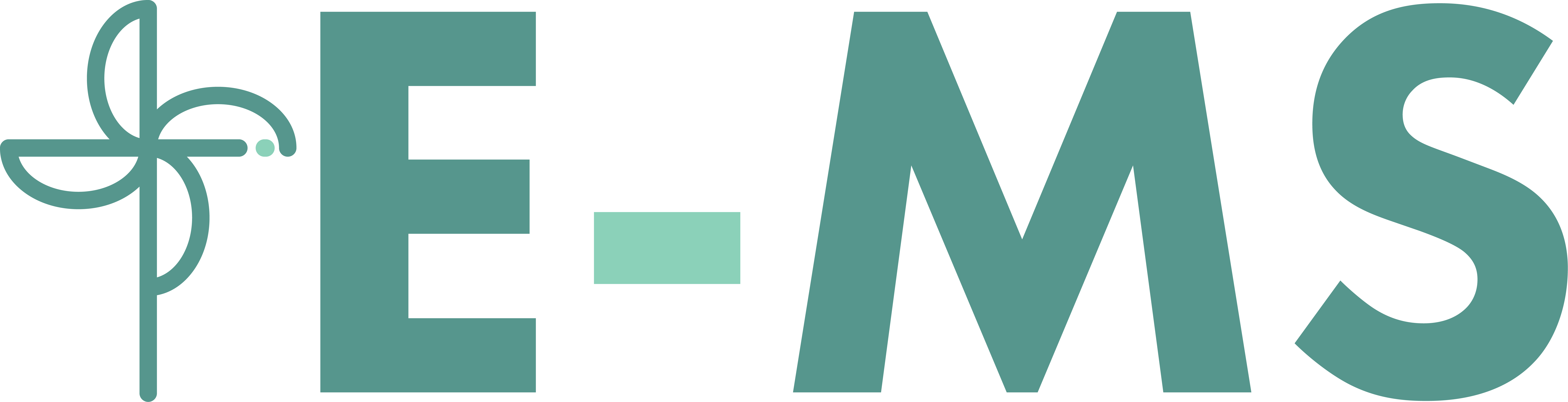 Logo e-ms.pl